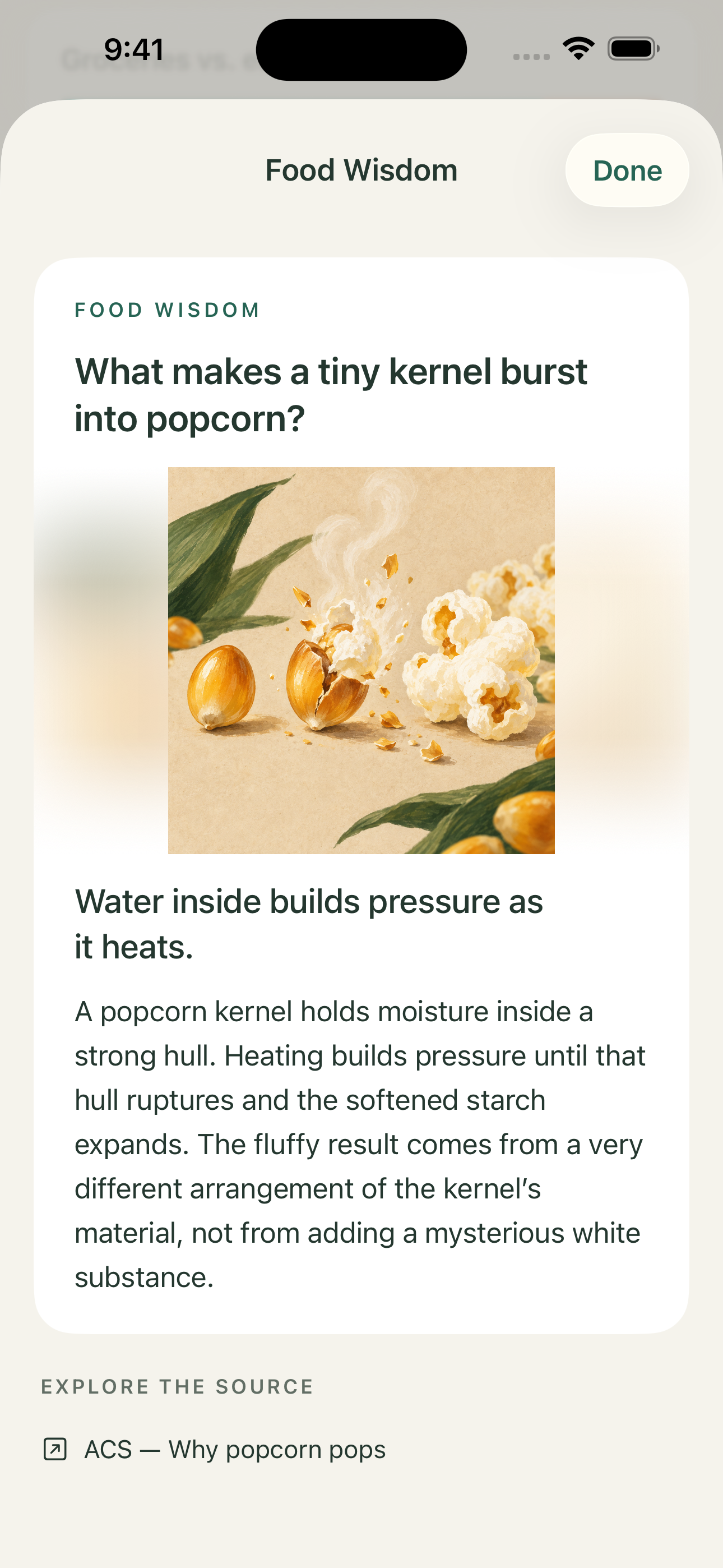 An illustrated food wisdom page in TrackYourBite